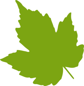 Light Green Leaf Clip Art at  - vector clip art online, royalty  free & public domain