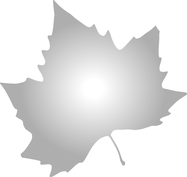 clipart maple leaf outline - photo #30