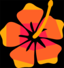 Hibiscus Flower Image Clip Art