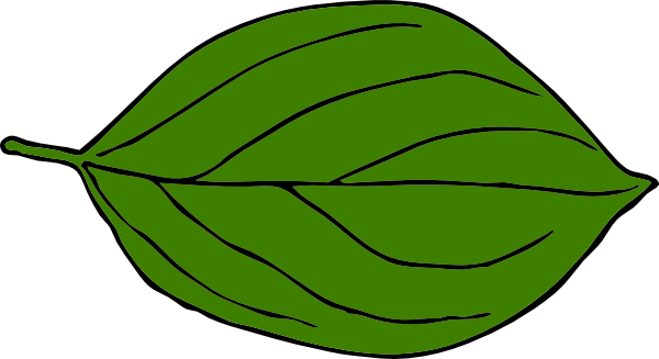 clipart of green leaf - photo #26