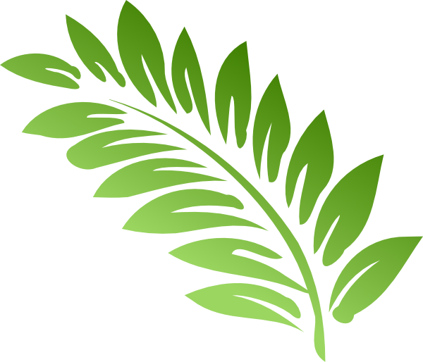 clip art fern leaf - photo #8