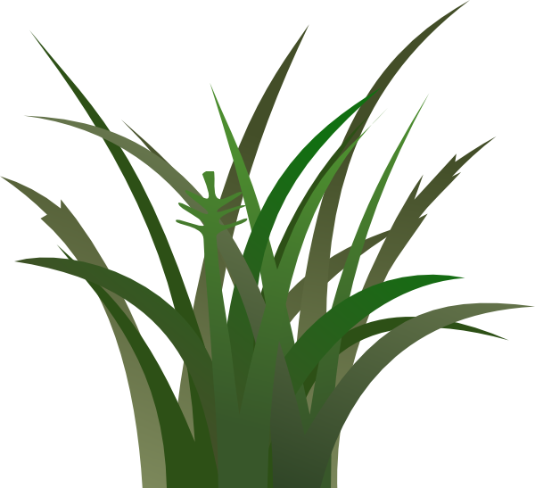 clipart of green grass - photo #14