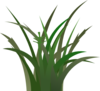 Green Grass Clip Art
