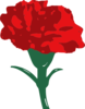 Red Carnation Clip Art