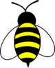 Large Bee Clip Art