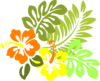 Multi Hibiscus1 Clip Art