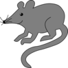 Gray Mouse Clip Art