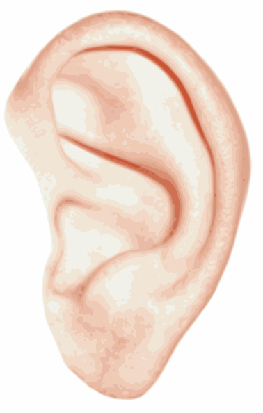 free clip art of an ear - photo #17