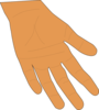 Hand - Brown Clip Art