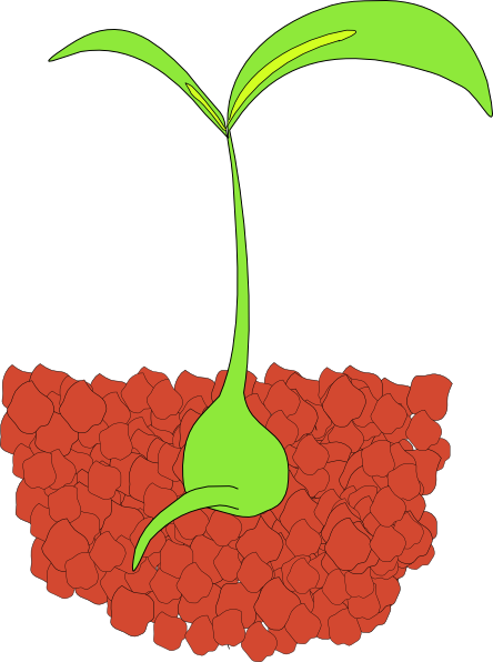 clipart plants - photo #7