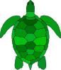 Turtle Clip Art