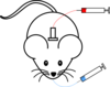 Mouse Antenna Blood Clip Art