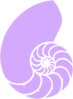 Purple Nautilus Shell Clip Art