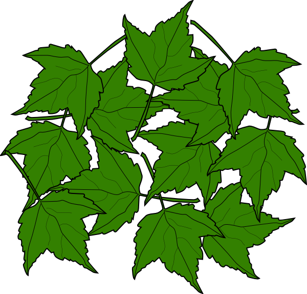 maple leaves clipart - photo #37