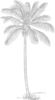 Gray Palm Tree Clip Art