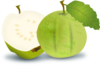 Guava Clip Art