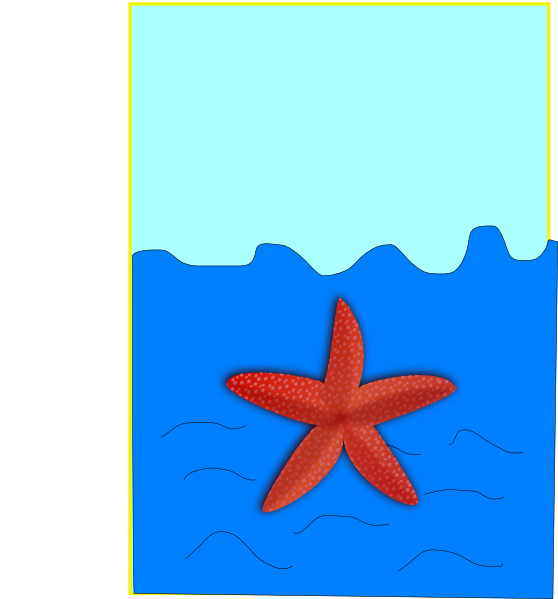free starfish clipart - photo #23