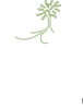 Simple Leafy Tree Green With Roots Clip Art