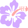 Purple & Pink Hibiscus Clip Art