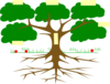 Aldp Tree Clip Art