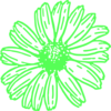 Green, Daisy, Flower, Clip Art