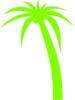 Palm Tree Clip Art