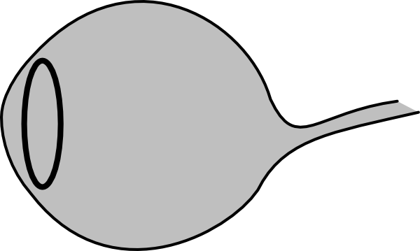 Eye Ball Clip Art at Clker.com - vector clip art online, royalty free