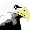 Eagle Clip Art