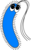 Bacteria Blue Funny Clip Art