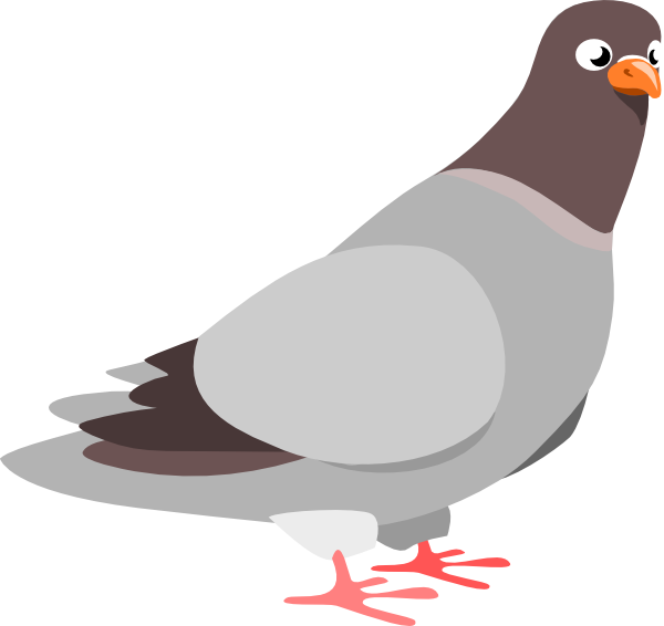clipart pigeon - photo #1