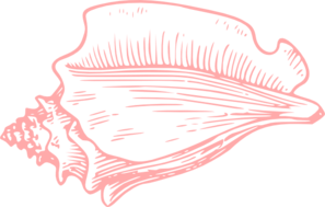 Shell Clip Art