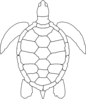 Turtle Outline Clip Art
