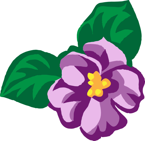 clipart african violets - photo #2