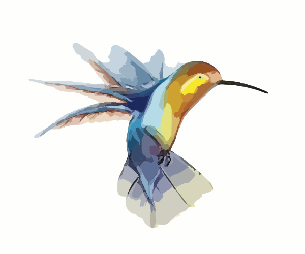 free animated hummingbird clipart - photo #1