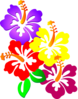 Hibiscus Corner Clip Art