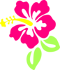 Hibiscus Clip Art