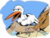 Bird Close Up Clip Art