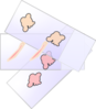 Histo Slides Clip Art