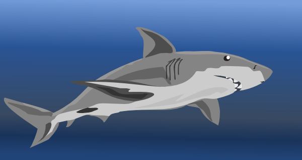 Shark Clip Art at Clker.com vector clip art online, royalty free 