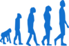 Evolution Of Man Clip Art