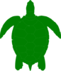 Green Sea Turtle Clip Art