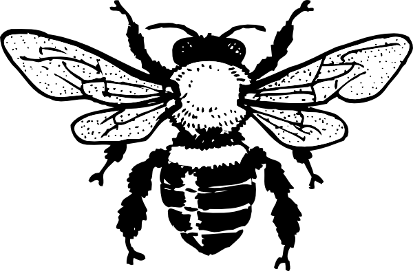 free bee clipart black and white - photo #37