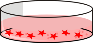 Culture Dish With Cells Fibroblastes Clip Art