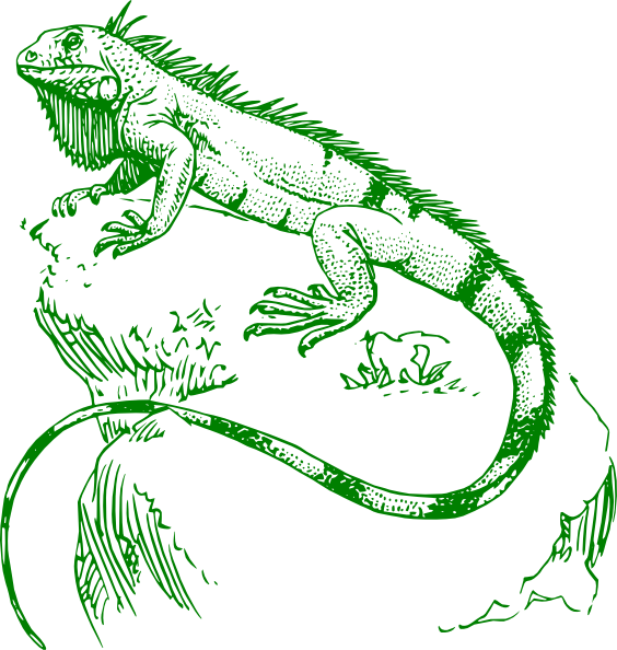 clipart iguana - photo #42