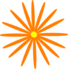 Orange Daisy Clip Art