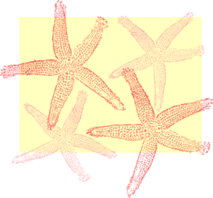 Starfish Prints Clip Art