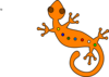 Lizard Clip Art