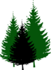 Trees Clip Art