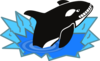 Killer Whale Clip Art