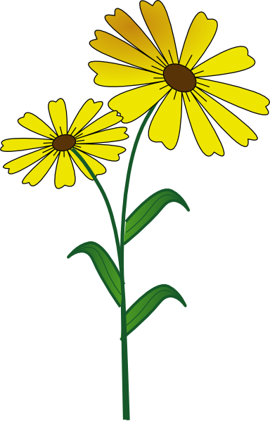 clip art daisy flower - photo #32